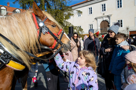 praznični sejem in prihod dedka mraza (31)